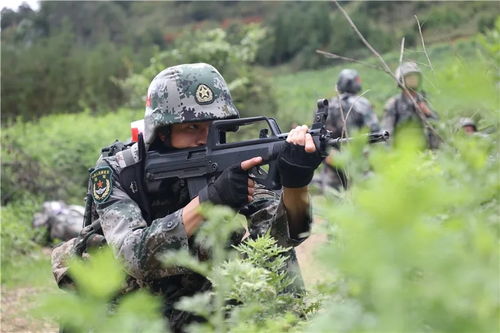 硬核 陸軍邊海防學(xué)院昆明校區(qū)畢業(yè)演練現(xiàn)場(chǎng)