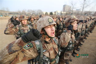 北部戰(zhàn)區(qū)陸軍開訓(xùn) 寒冬沙場(chǎng)將士亮劍