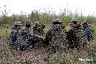 陸軍狙擊手集訓(xùn),一臥半天默不吭聲,上演真人版 吃雞