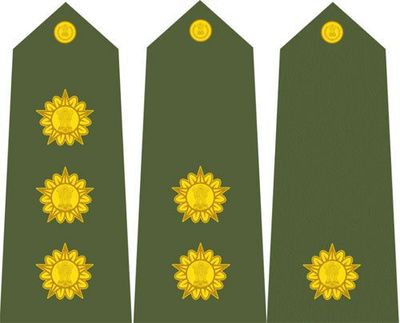 軍迷診所 印度陸軍中,怎樣識別軍官的軍銜?