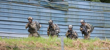 熟悉的裝甲車,夏威夷獅國陸軍訓練高清大圖