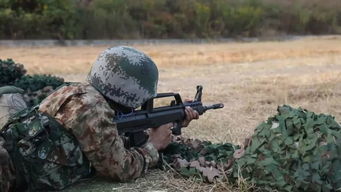 陸軍國際學員周 17國軍校學員混編同訓