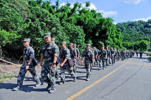 廣州陸軍預備役某團拉動慶八一 陸軍